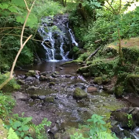 بيت ضيافة Elfenmuehle باد بيتريتش