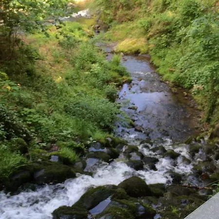 Elfenmuehle Penzion