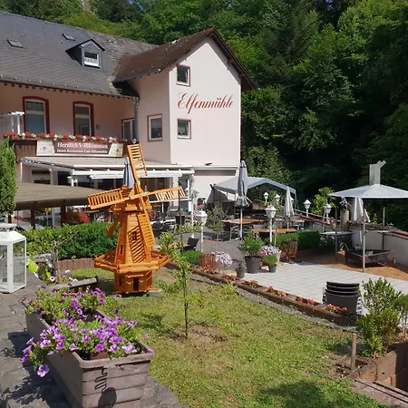 Elfenmuehle Penzion