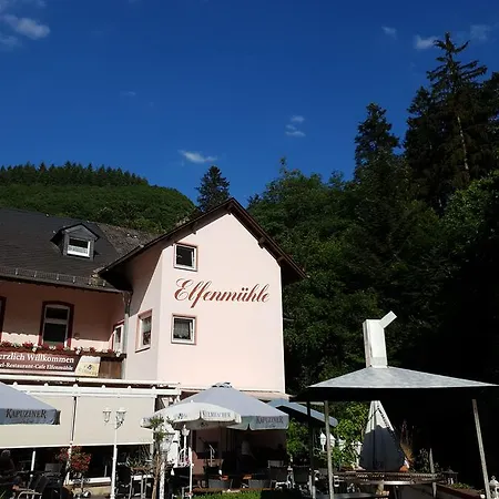 Pensión Elfenmuehle 3*