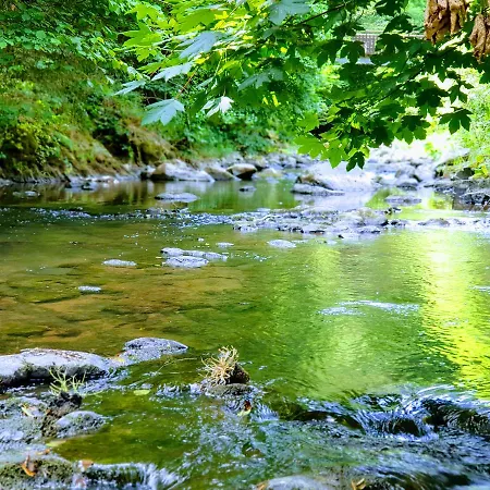 Elfenmuehle 招待所