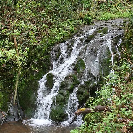 Elfenmuehle 3* Bad Bertrich