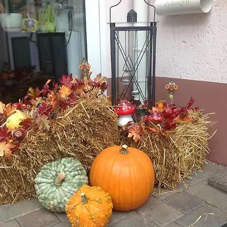 Elfenmuehle 招待所 3*