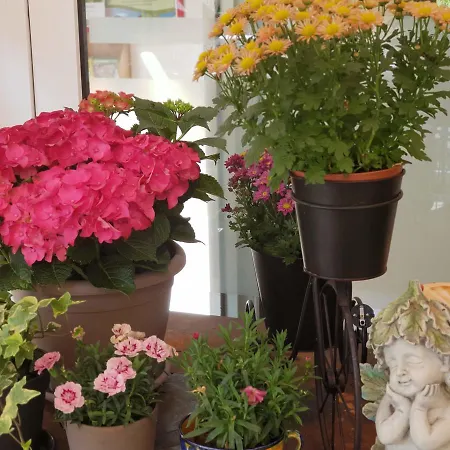 Elfenmuehle בית הארחה 3*