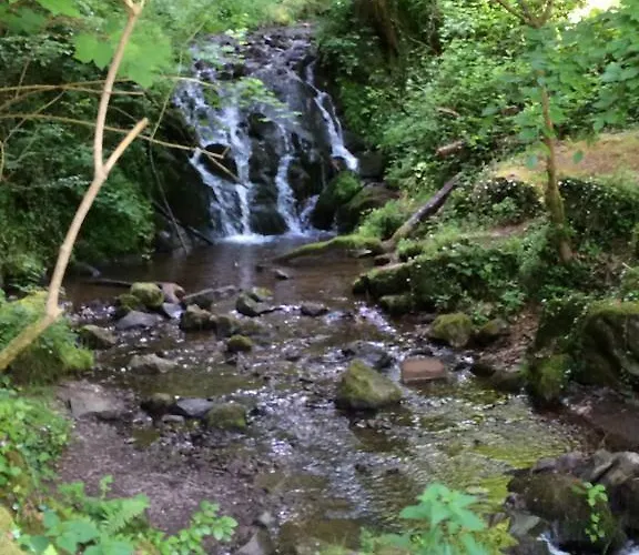 بيت ضيافة Elfenmuehle باد بيتريتش