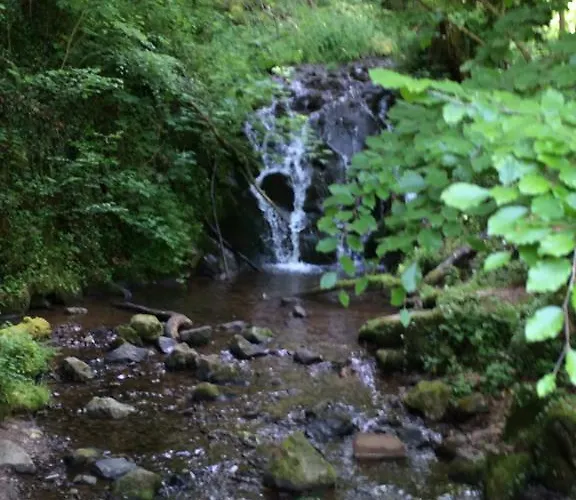 بيت ضيافة Elfenmuehle