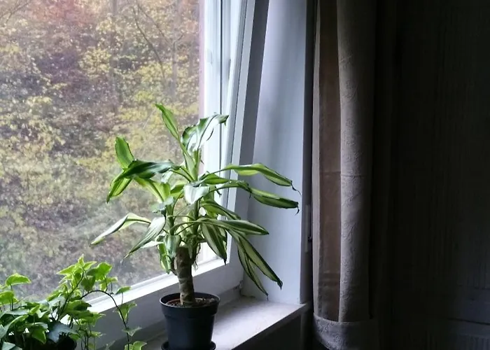 بيت ضيافة Elfenmuehle باد بيتريتش