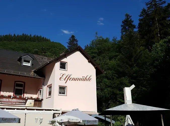 Πανσιόν Elfenmuehle 3*