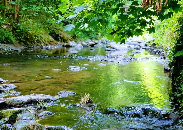 Elfenmuehle بيت ضيافة