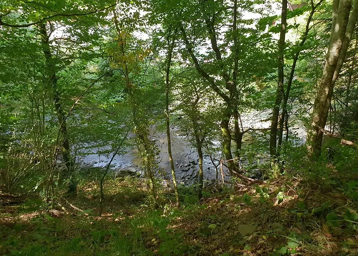 بيت ضيافة Elfenmuehle