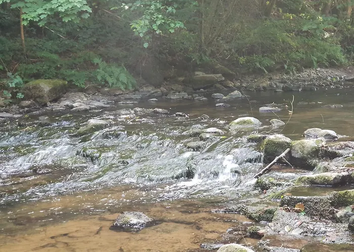 Elfenmuehle باد بيتريتش