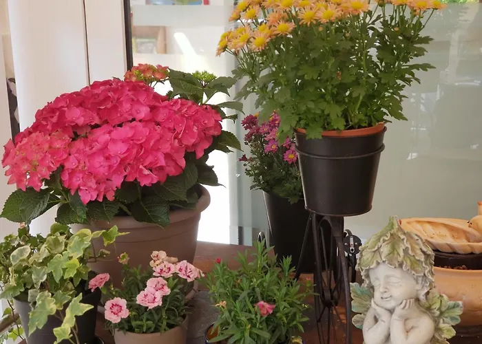 Elfenmuehle بيت ضيافة 3*